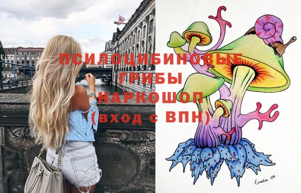 2c-b Алзамай